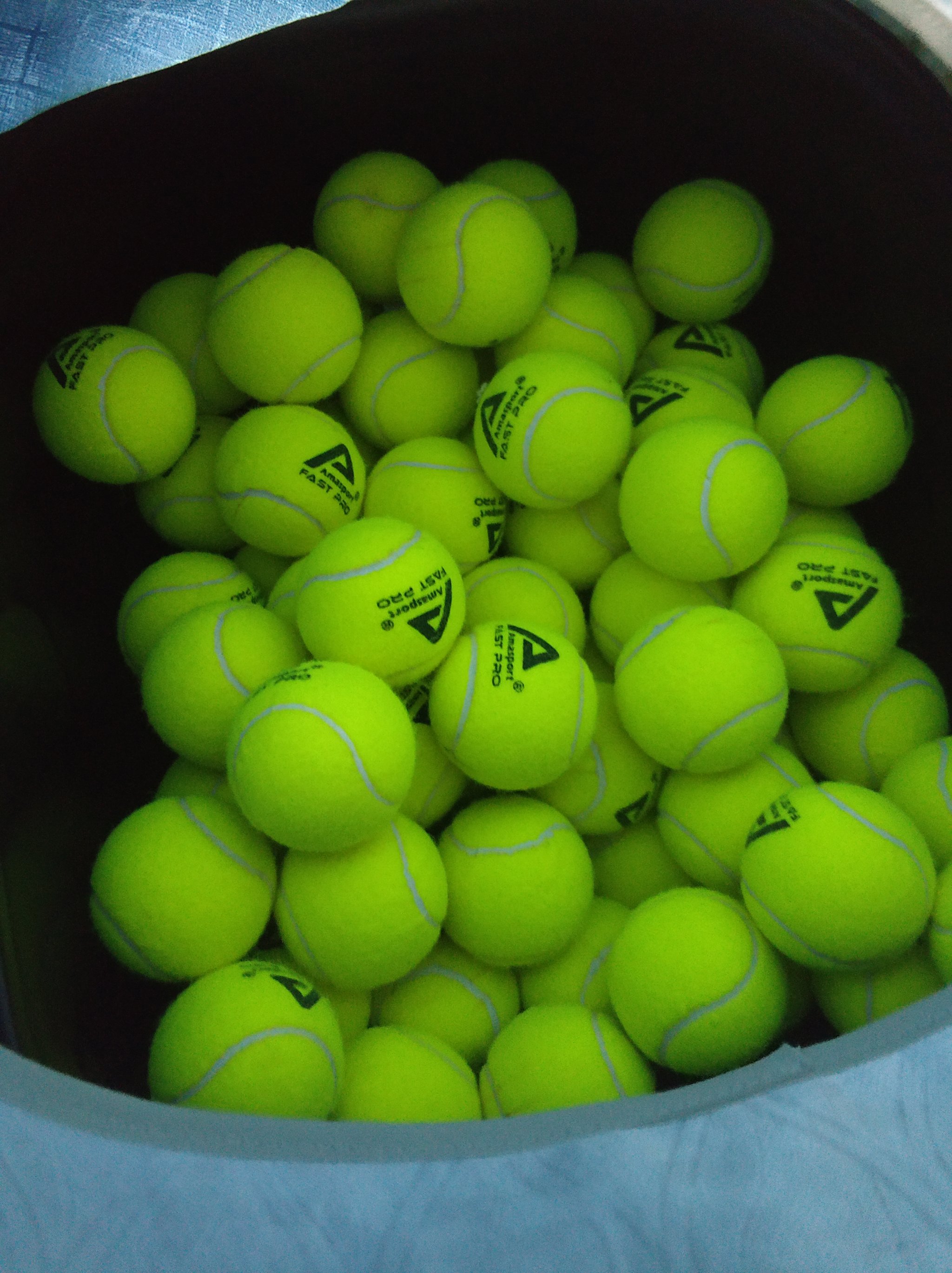 内维斯指出 内维斯指出