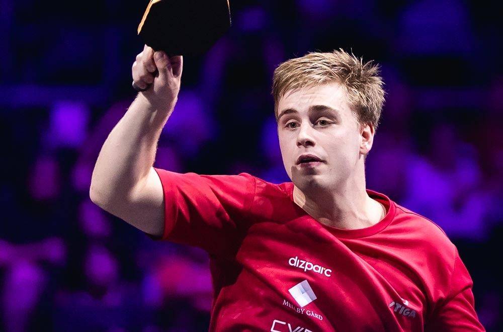 搜索与引用 搜索与引用